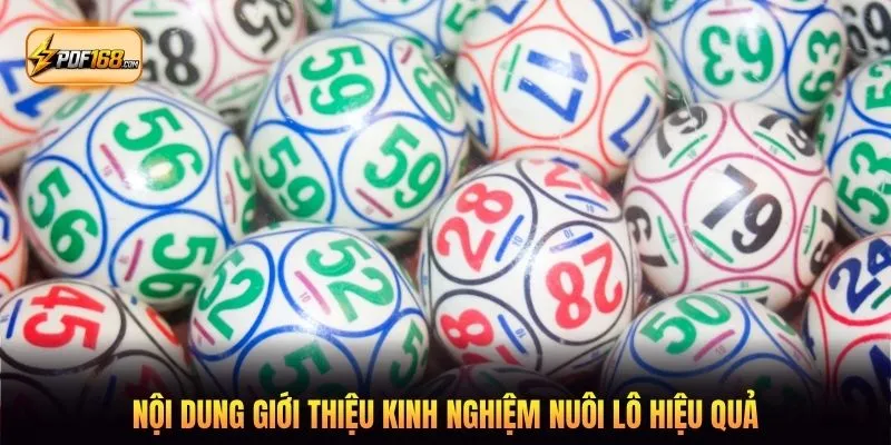 Nội dung giới thiệu kinh nghiệm nuôi lô hiệu quả